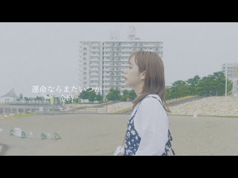 金時 - 運命ならまたいつか【OFFICIAL MUSIC VIDEO】