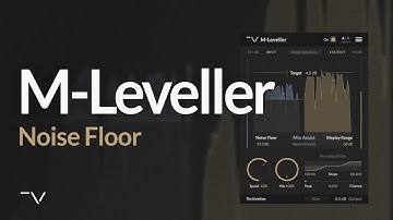 Setting Noise Floor in Techivation M-Leveller