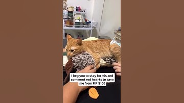 For Any Support Click Our Link In Bio To Help. All Pledges You Make To Support Are Appreciated!🙏