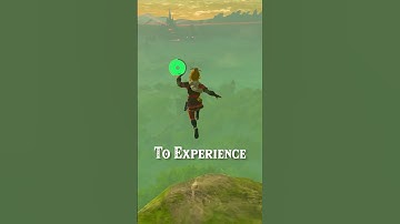 Things to do When Bored in Zelda! |Botw|