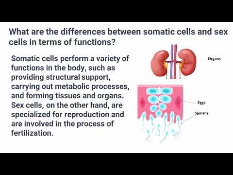 Somatic and Sex