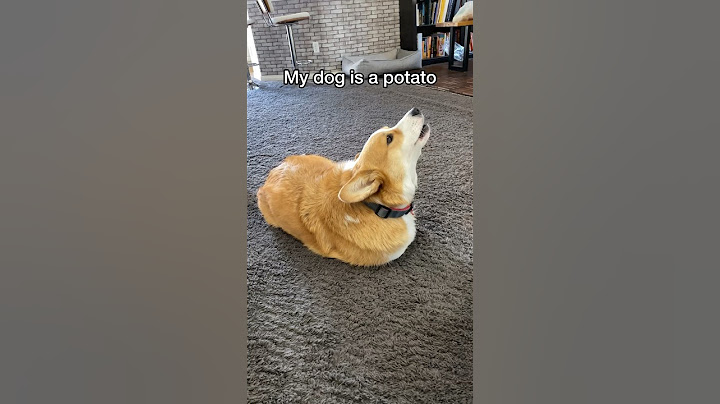 He thinks he’s a potato!