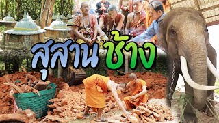 สุสานช้าง | ไทยทึ่ง WOW! THAILAND