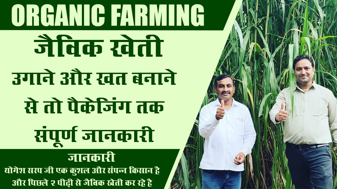 Organic Farming in Hindi जैविक खेती कैसे करें Organic Farming