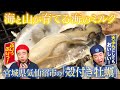 【海のミルク】#よゐこ の「#ふるさと研究所」殻付き牡蠣を研究！