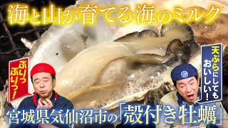 【海のミルク】#よゐこ の「#ふるさと研究所」殻付き牡蠣を研究！