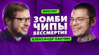 видео: РАЗОБЛАЧЕНИЕ ЧИПИРОВАНИЯ ОТ БИОЛОГА | Панчин Александр картинка: РАЗОБЛАЧЕНИЕ ЧИПИРОВАНИЯ ОТ БИОЛОГА | Панчин Александр