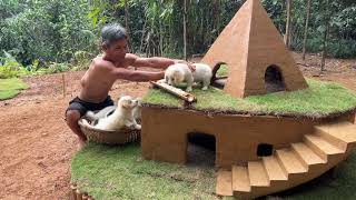 Rescue abandoned puppies, Build mud houses for dogs