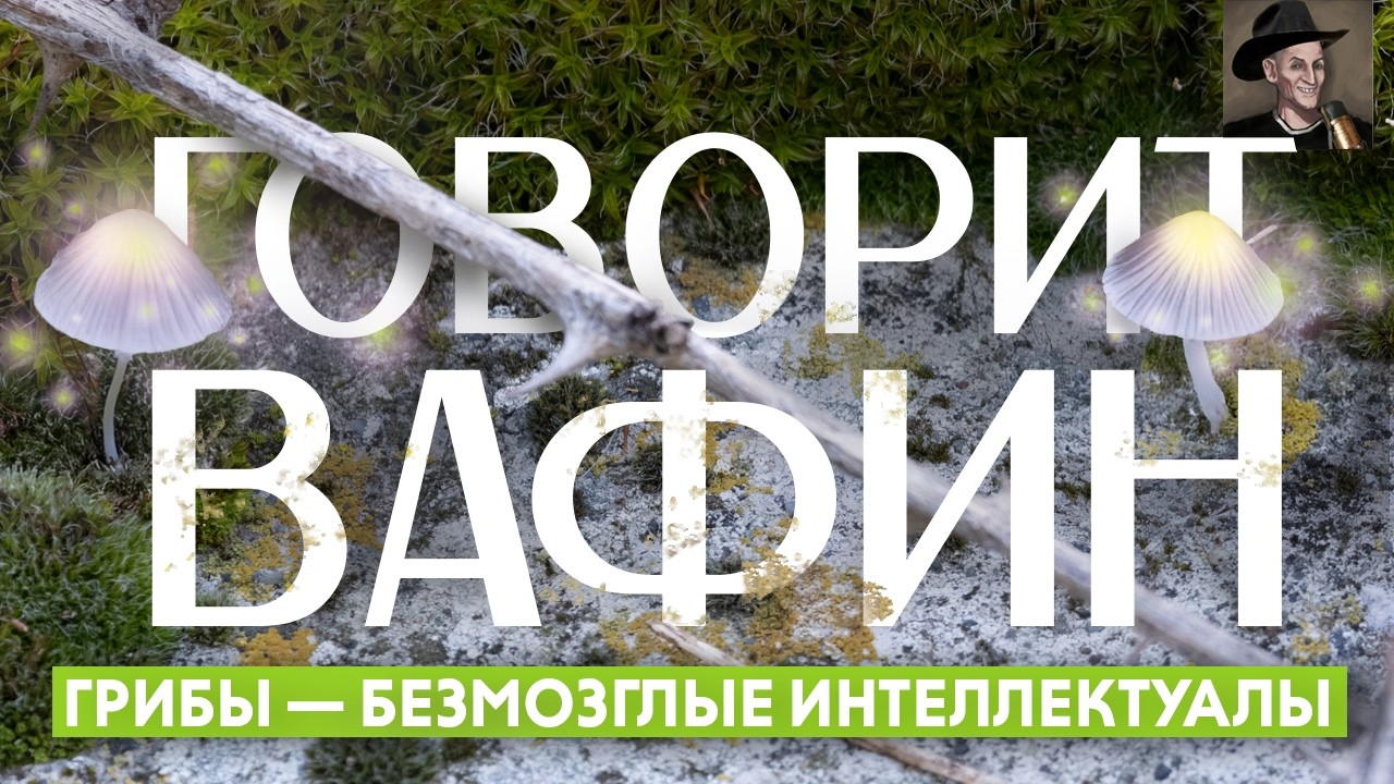 НА ОБЕД БЫЧКИ И ТРОТИЛ. ПОДБЕРЁЗОВИК ЭВОЛЮЦИОННО БЛИЖЕ К НАМ, ЧЕМ К БЕРЕЗЕ. 2,5 ЧАСА ПРО ГРИБЫ #76