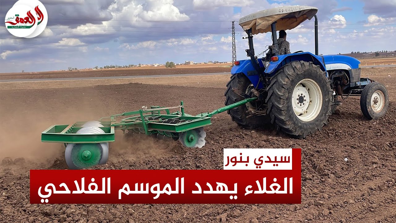 غلاء الزريعة يكبد فلاحيين بدكالة خسائر كبيرة.. ومزارعون يشكوون هزالة دعم الفلاحة