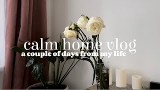 calm home vlog: готовим болоньезе, иду на body ballet и растяжку, выборы, фильм «Дюна». day with me.