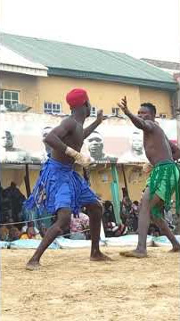 Shagon S B Mancha Yabuge Shagon Danliti Chiyaman #