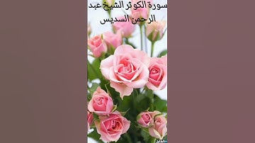 سورة الكوثر الشيخ عبد الرحمن السديس