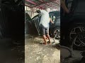 Typhoon disaster car clean up Saipan No Power Disaster very Hard no money