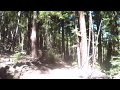 Soquel demo forest  flow trail  1