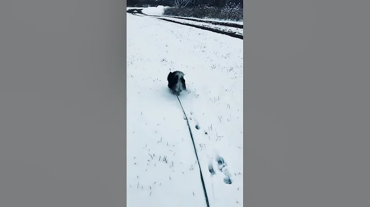 November (2022) walk on the Wisconsin farm property