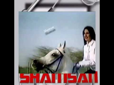 محمد عبده زينب العسكري يا غالي الاثمان