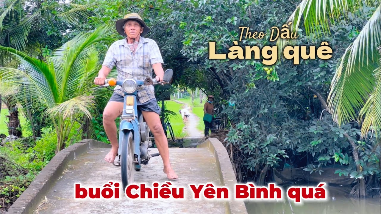 Cảnh Chiều Đẹp Lắm Trên Đồng Ruộng Xanh Rờn Của Vùng Đất Yên Bình Gò ...
