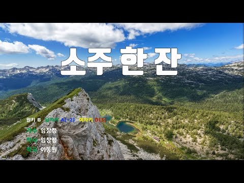 [은성반주기] 소주한잔 - 임창정 /MR/가사