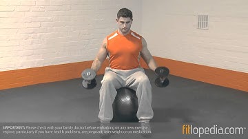 Swiss Ball Hammer Curl