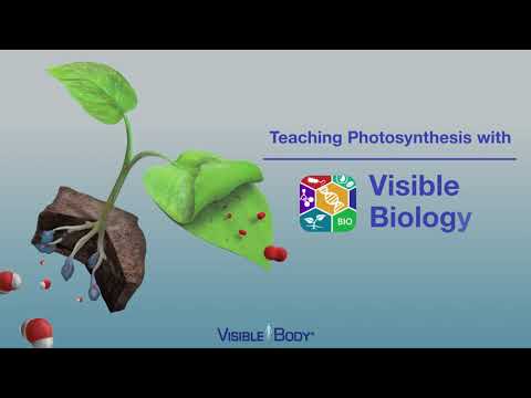 Video: Što pohranjuje biokemikalije koje pomažu u rastu biljaka?