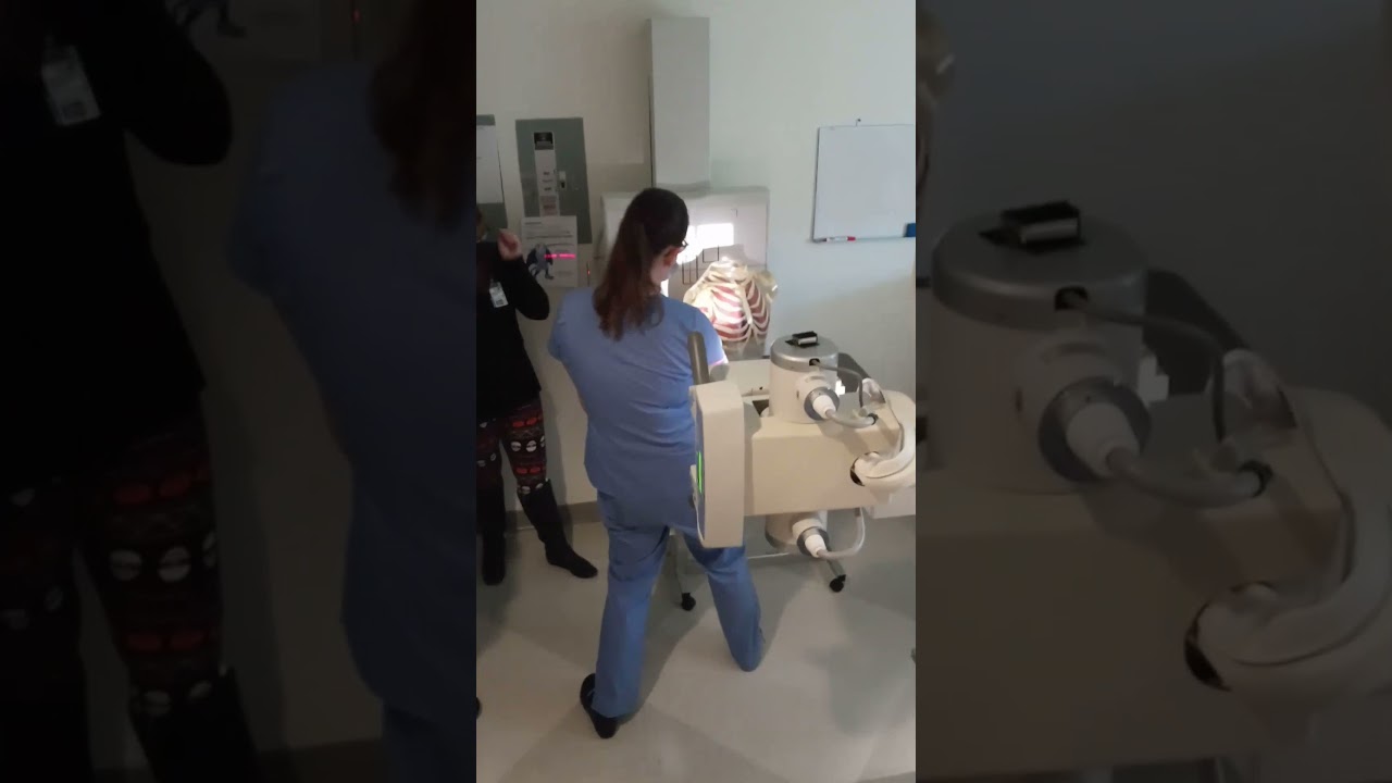 Y view scapula and shoulder