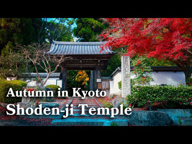 寺院の庭 SLD 4枚 願勝寺 四国最古の枯山水 -庭園ガイド