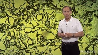 Robert S. Langer (MIT) Part 2: Drug Delivery Technology: Present and Future