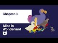 Alice in Wonderland Chapter 3 Quiz
