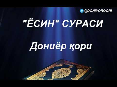 ЁСИН СУРАСИ | ДОНИЁР ҚОРИ