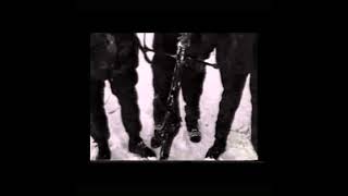 01. White Gavri'el - Intro