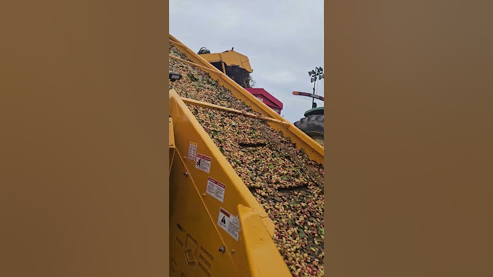 la cosecha de pistachos