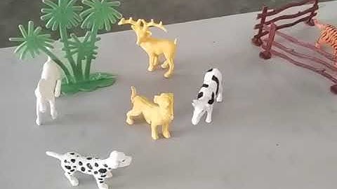 Ch-12 Animal kingdom for class 1 EVS