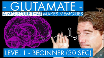 Glutamate - A Memory Molecule (synaptic plasticity mechanism) (Level 1 - Beginner)
