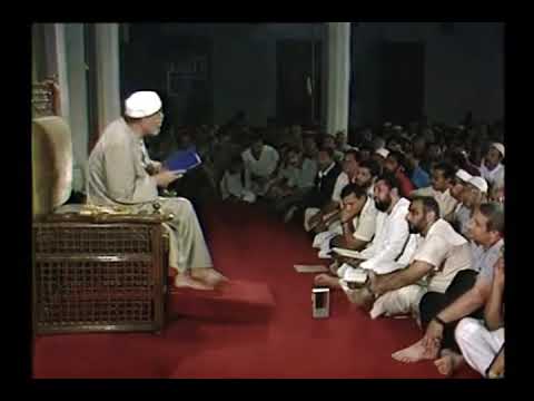 إما يبلغن عندك الكبر الشعراوي