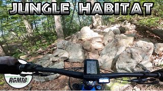 Jungle Habitat | More like JUNGLE ROCK HELL | Plan on going home hurting