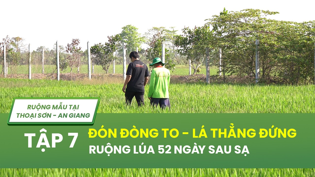 CÔNG THỨC ĐÓN ĐÒNG TO - LÁ THẲNG ĐỨNG