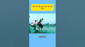 Tôi Câu Cá Rô Phi Và Kiếm Tiền Mua Gạo Cho Bà Con - Bạn Muốn Thử? (P2) #fish