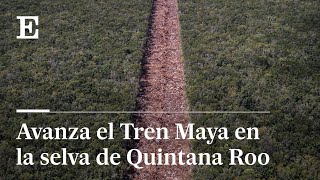 MÉXICO | El avance del TREN MAYA sobre la selva y los cenotes de QUINTANA ROO