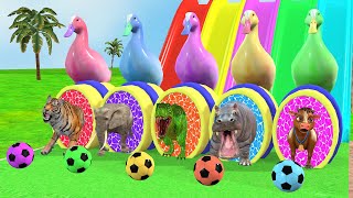 Long Slide Game With Lion Cow Tiger Hippo Elephant Animals my cr | 3d Funny Animal Fountain Crossing screenshot 4