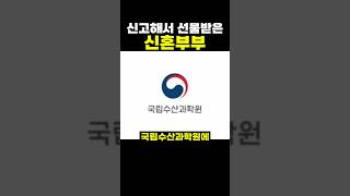 신혼부부가 신고해서 받은 신혼여행 선물.. 예쁘네ㅋㅋ