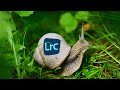 SPEED UP Lightroom!