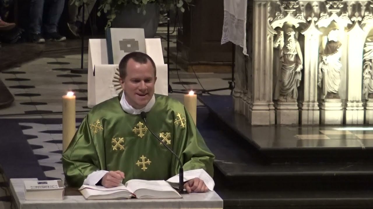 Homélie du 33ème dimanche du temps ordinaire Père Charles Rochas - YouTube