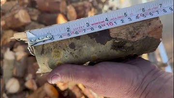 PTO Branch Logger 4" with Conveyor