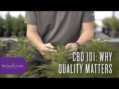 cbd-101:-why-quality-matters-|-young-living-essential-oils
