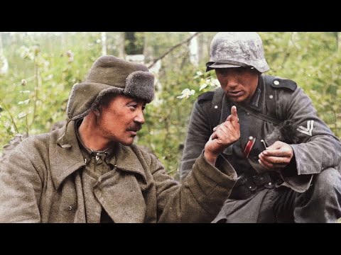 Видео: Уникальная немецкая кинохроника разгрома 2-й ударной армии в Волховском котле (1942)