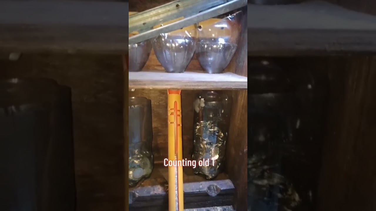 DIY Coin counter counting old 1 peso