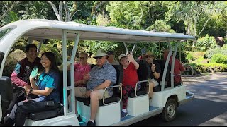 Waimea Valley Kipahele Tours Eco Friendly Shuttle Cultural Botanical Tour North 