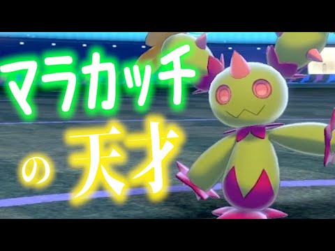 ポケモン剣盾 マラカッチの天才vsマラカッチにボコボコにされたことがある猫 ランクマッチpokemonswordshield Vgcダブルバトル Youtube