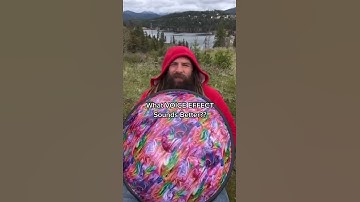 SYNTH or ECHO?? 🤷‍♂️